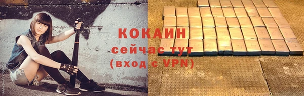 тгк Беломорск
