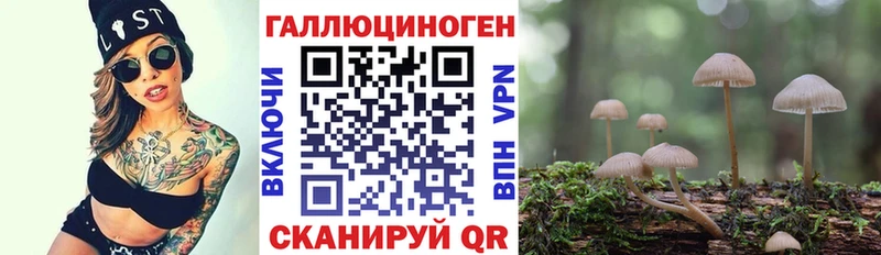 Галлюциногенные грибы Magic Shrooms  Горнозаводск 